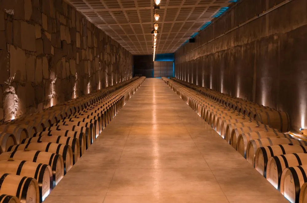 Chai de vieillissement, rangées de barriques et de bouteilles